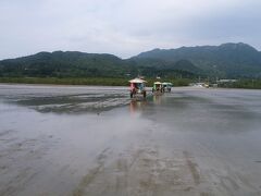 由布島水牛

入園料1400円
水牛出発
西表島側
毎時　15 45分
由布島側
毎時　00 30分