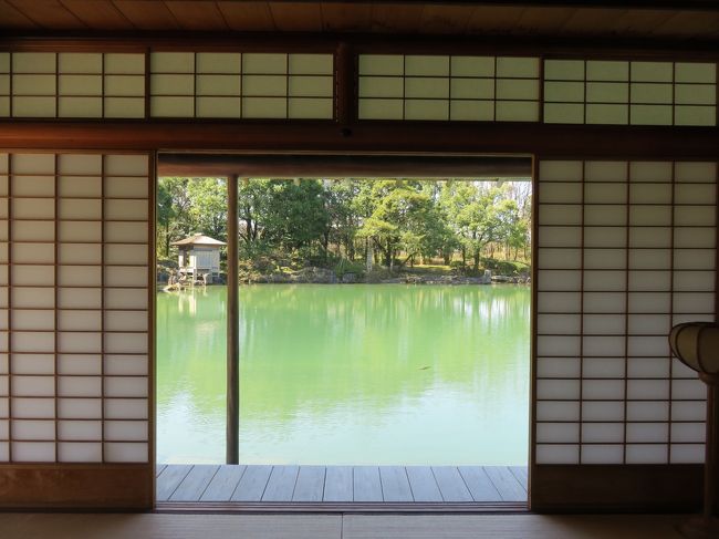 障子から池が見えます。