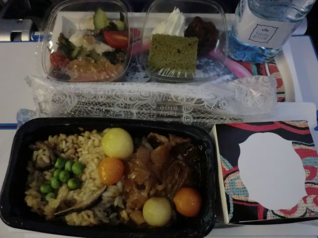 5日目は、ほぼ2時間くらいしか寝れないまま、6-7日目の移動はかなりヘビーで丸2日以上寝ていないのと同じで帰国後も戻った実感がなく夢遊病のようなフワフワの日々・・・