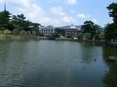 カフェを出た後は、猿沢池のほとりを散歩しました。
ちょんたさんの帰りの時間もあるので、早めにお開きです。

ちょんたさん、また奈良に遊びに来て下さいネ。
いつでも大歓迎ですよ～！

"The End"