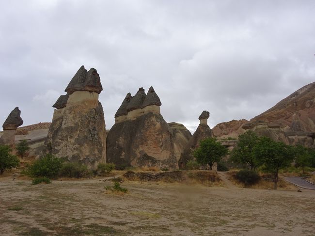 確かに、小人か妖精でも住んでいそうな形です。<br />