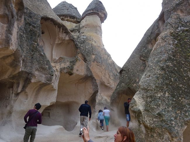 近づいていくと分かるんですが・・・