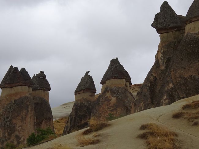 この奇怪な岩の群れ。<br /><br />「ここは地球じゃありません」と言われたら信じてしまいそうな光景です。
