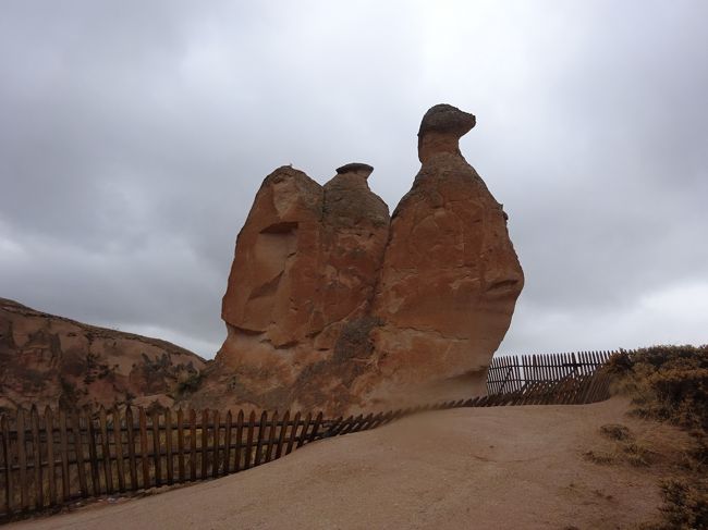 デヴレント渓谷の有名な「ラクダ岩」に連れてってくれました。<br /><br />おお～っ★<br /><br />でも人工物が映り込んじゃうなー。<br /><br />最近までこの柵はなかったそうですが、マナーの悪い観光客がラクダ岩に登るので<br /><br />防護柵を設置したそうです。