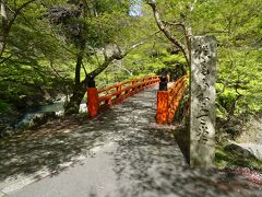 バス道路にもどって、来た道を歩いて戻ります
１０分ほどで橋を渡って西明寺へ