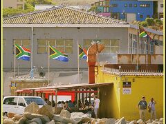 【オットセイ地獄への道】

南アフリカの旗が、伸び伸びと、なびいてます～～～～～