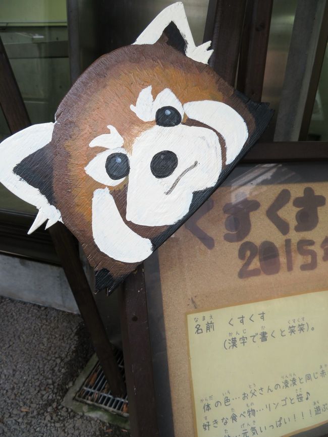 初 山口福岡レッサーパンダ遠征はこの冬最大の寒波到来 9 到津の森公園動物園 体重測定と朝ごはんタイムが見られたリンリンくん 野風ちゃん 笑笑 クスクス 坊ちゃん 展示が工夫された草原の世界と林床の世界の動物たち 小倉 北九州市中心部 福岡県 の旅行記 初 山口福岡レッサーパンダ遠征はこの冬最大の寒波到来 9 到津の森公園動物園 体重測定と朝ごはんタイムが見られたリンリンくん 野風ちゃん 笑笑 クスクス 坊ちゃん 展示が工夫された草原の世界と林床の世界の動物たち 小倉 北九州市中心部 福岡県 の旅行記
