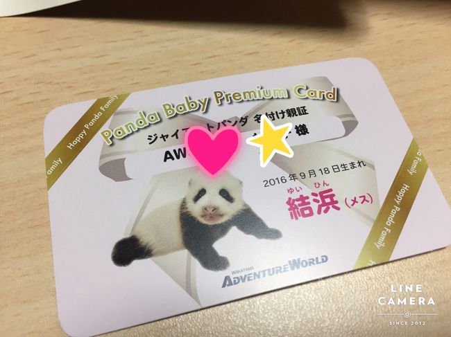 アドベンチャーワールドの赤ちゃんパンダ・結浜の名付け親のみが参加