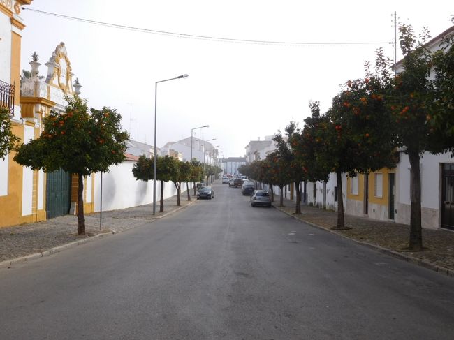 オレンジがたわわに実っていました。<br /><br />このあともあちこちでオレンジの並木道を見ましたが、結構ボトボトと実が下に落ちてたり、地元の人にはありふれた日常風景なんでしょうね。<br /><br />私も、初めの頃は、うわ、オレンジの木だ！、レモンの木だ！と、いちいち見上げていましたが、旅の後半は、ちょっと見慣れてしまって、あぁ、オレンジの木か。ぐらいになっていたような。