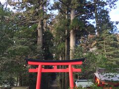 ホテルチェックイン後、徒歩で箱根神社へ

芦ノ湖近くから鳥居を眺める

写真の鳥居は第四鳥居で、第一鳥居はというと元箱根にあります。

第一鳥居は正月の箱根駅伝で走る選手とともに紹介される鳥居です