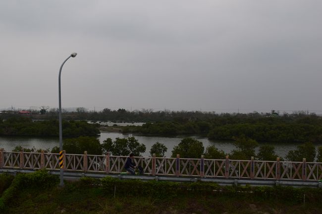 堤防を上って見下ろすマングローブの景色です。<br /><br /><br />『徳記洋行と安平樹屋』<br />入場料：大人50元、小人25元<br />オープン時間：8:30～17:30 