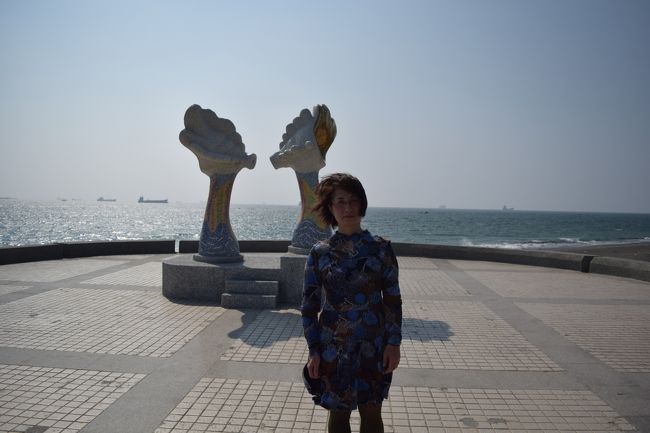 沖には漁船らしき船が何艘も停泊しています。