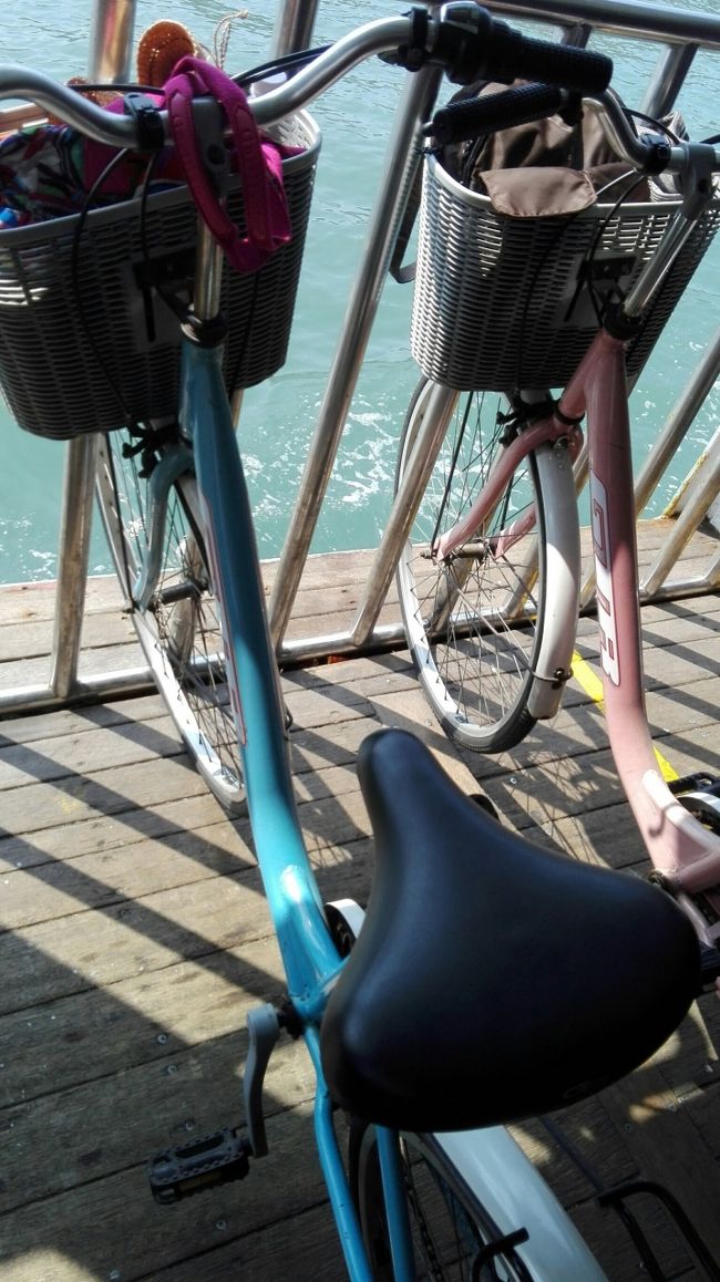 ホテルで借りた自転車。<br />この日は、9時間レンタルして、金額は１人150元。安いです。<br /><br />ママチャリですが、もうすでに、愛車の感覚。