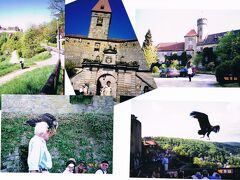 ５・１０  （木）    快晴
コーブルグ公爵領はバイエルン州の北部・フランケン地方である。北はテューリンゲンの森、東をフランケンの森、南にマイン・フランケン平野に囲まれた地域で、ドイツの中央部にあたります。町はマインの支流Itz（80km）イッツ川に沿って発展している。

＜Veste Coburgフェステ・コーブルグ大要塞・美術館＞
要塞はコーブルグの157mの小高い丘にその雄姿を見せている。Vesteにはエーレンブルグ城・公園から登ることもできるようだが、きつそうなので、車で町の裏手を迂回して要塞に近づいた。真っ青な青空と緑の森に映える赤レンガの屋根の要塞が見えてくる。

俯瞰図で見るVeste Coburgは楕円形の要塞で二重の城壁が周囲を取り巻いている。楕円形の真ん中に城門があり、これをくぐって城内に入ると、正面にはFuerstenbau領主の建物が見える。その右手にルターの礼拝堂があり、その横の階段を上がるとテラス上に素晴らしい眺望が開ける。5月の景色、真黄色の菜の花畑が緑の中に黄色い帯となって横たわっていた。城内には大きな菩提樹があって、その木陰が好ましい。

更に向かって左手に古めかしいSteinere Kemenate石造の部屋の建物が建ち、順にCarl-Eduard-Bauカール・エドワードの建物(Carl-Eduardはコーブルグの最後の公爵・1945年に退位)、Herzoginbau公爵夫人の建物、Roter Turm赤の塔、 Blauer Turm青の塔、Hohes Hausがある。二つの塔のとんがり屋根の色が其々の色をしているのが分かる。

“Die Fraenkische Kroneフランケンの王冠”と謳われるVeste Coburgは面積25000㎡の台上にある。歴史文書に名が出てくるのは1056年のことで、945年の歴史を誇る、ドイツ屈指の大要塞である。
その歴史の断片は1248年Henneberg伯爵家が居城として、100年の間、VesteとCoburgを支配した。1353年から1918年の565年もの間はザクセンとテューリンゲンを支配した領主Wettinヴェティン家の支配になり、遺産相続によってErnst １世公爵の家系が連綿として続くこととなる。（マイセンのアルブレヒト城の所を参照）。1782～86年は牢獄・収容所として使用されることもあったが、第二次大戦後の1946年、早々とバイエルン州の所有となった。

17世紀にVeste の防衛機能が強化されたが、30年戦争の1632年、旧教の立場である皇帝側の名将Wallensteinヴァレンシュタイン将軍がこのVesteを攻城し、その守りの堅さにわずか一週間で攻めるのを諦めたという話は有名である。

写真は2001年5月ゲーテ街道・古城街道：Festung Coburgコーブルク要塞、Ahorn・Hotel Schloss Hohenstein古城ホテル　ホーエンシュタイン城、Burg Guttenbergグッテンベルク城の“鷹の飛翔ショー” 

グッテンベルク城ではついていた事に“鷹の飛翔ショー”が行われる時間だった。始めて見たショーは大変面白かった。
白髪の老練な鷹匠によって、鷹・コンドルなどが城壁からネッカー川めがけて飛翔する。高々と空中に飛び、空をゆうゆうと旋回し、鷹匠の合図と共に一気に下降して来る。小さな池面で餌を捕らえる、鷹匠の腕に停まるなど自在だ。

わざと観光客の頭の上を滑空させて、大きな歓声・悲鳴を上げさせるなど、スリル満点な面白さだった。