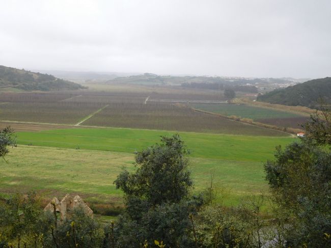 晴れていれば、、、