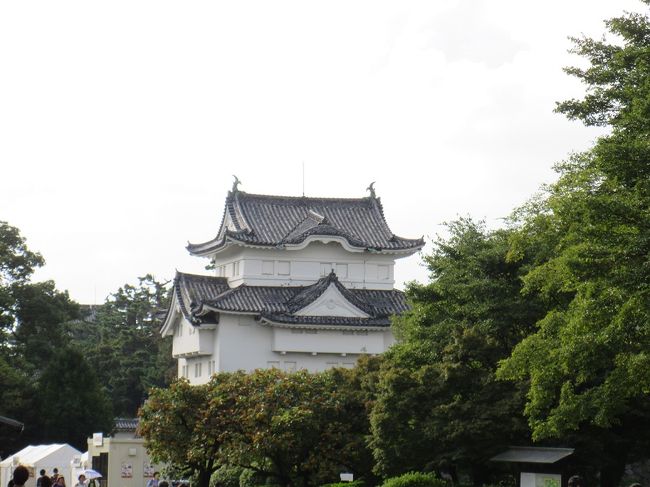 名古屋城の天守閣。到着時は15時くらい。近くの店でみそカツ串をいただきました。<br />