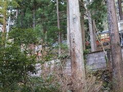 箱根登山電車が少し見える。