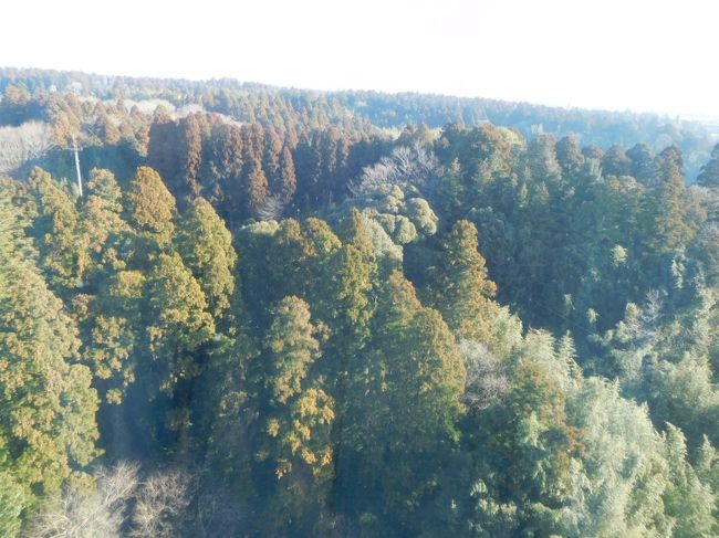 朝窓を開けると、綺麗な山の風景が広がっていました。<br /><br />反対側の部屋からは、成田空港が見えるようでしたが、こちら側の景色もとても良かったです。