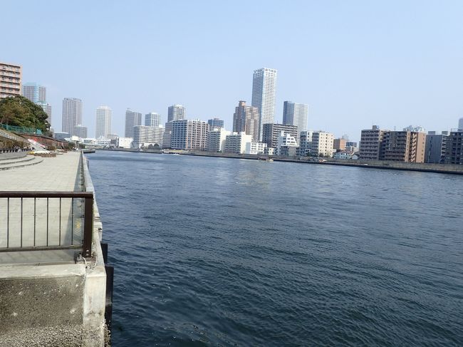 隅田川は穏やかだった。