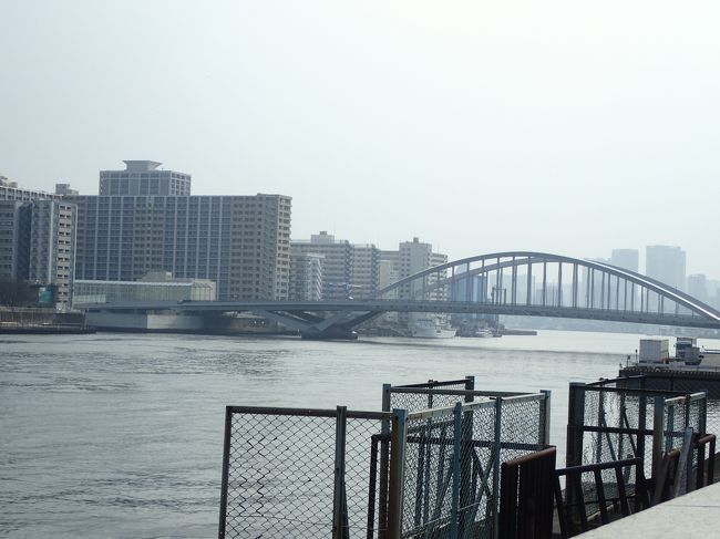 向こうには築地大橋