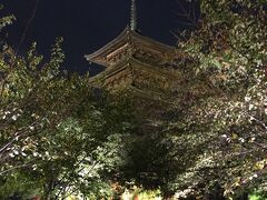 1日目の最後は　この日から始まった　夜間特別拝観を見に東寺へ


雨だったのが残念