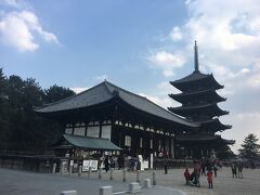 さらに歩いて興福寺に来ました。修復等工事中で残念でしたが、そこをカットして写真に残します。