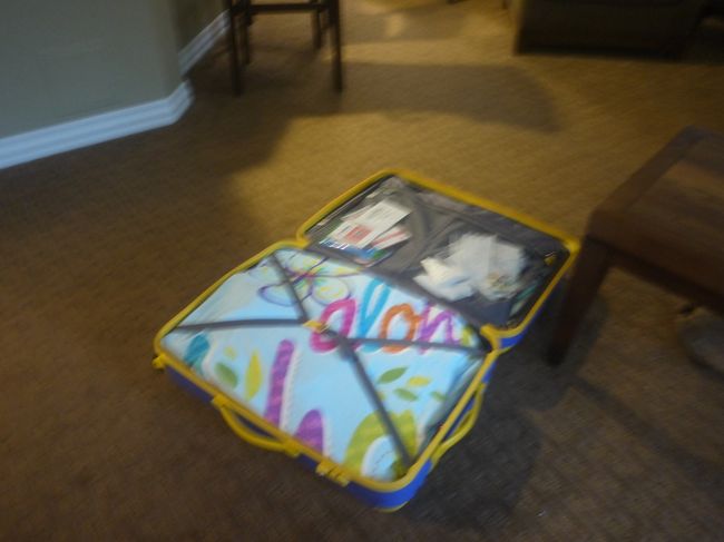 化粧ポーチを最後に入れたら　荷造り終了－(*^-^*)