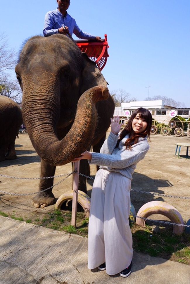岡山3人娘 市原で遊びまくり ぞうの国と里山トロッコに乗る 市原 千葉県 の旅行記 ブログ By みささん フォートラベル 岡山3人娘 市原で遊びまくり ぞうの国と里山トロッコに乗る 市原 千葉県 の旅行記 ブログ By みささん フォートラベル