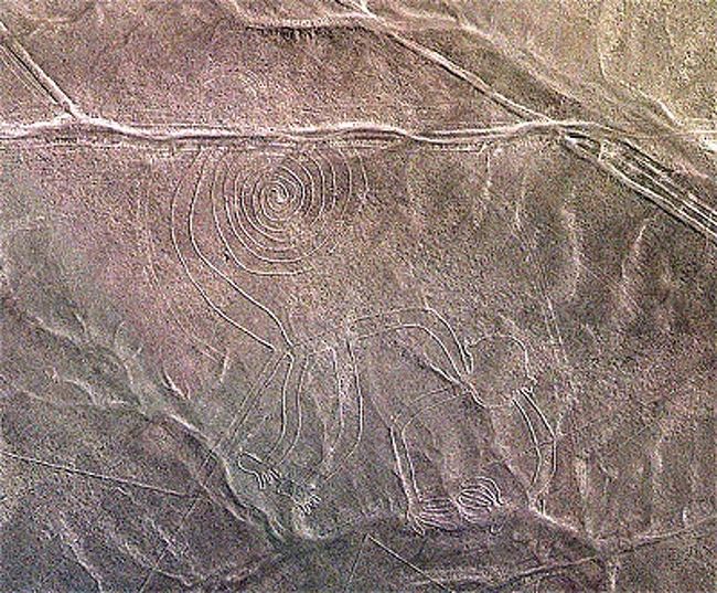 ナスカ ペルー ナスカの地上絵 シャチの図案はナスカの土器と同じだった ナスカ ペルー の旅行記 ブログ By カリオカケイタさん フォートラベル