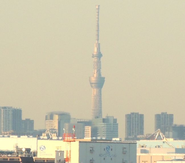 ２月15日（水）、羽田から、スカイツリーが見えました（写真）。羽田でレンタル携帯を返却＆精算。国際線ターミナルから国内線ターミナルに行くバスに乗ろうと、定刻を1～2分過ぎた便が出発済みかどうか、空港係員に尋ねたら、「時間が過ぎているので、もう発車しましたよ。」と憮然と言われました。時差があって、自分の腕時計を日本時間に戻す時、1～2分ずれたりもするのに、日本人は日本人に対して、つっけんどんだと感じました。つまり、それだけ、ポルトガルでは笑顔で迎えられていたということ。帰国したくなかった…夢から覚めた気分（笑）。<br /><br />現地14泊＋機中泊＝16日間の旅行記を、ここまで読んで下さって、有難うございました。皆様の拍手に支えられ、600枚撮影の写真から、良いものを選び、編集を終えることができました。またのご来訪を、お待ちしております♪