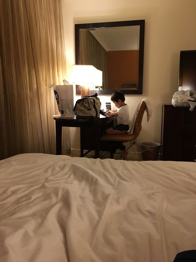 夜はいつも通り、お勉強。