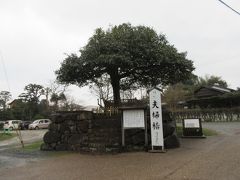 　韓竈神社から約65分で、縁結びの宮として有名な「八重垣神社」に到着。
　大鳥居の前には「夫婦椿・連理玉椿」があります。これは２本の椿が地上で１本になった珍しい夫婦椿で、境内には他に乙女椿と子宝椿があります。仲の良い夫婦は探してみて下さい。ただし夫婦杉もあるので間違わないように。