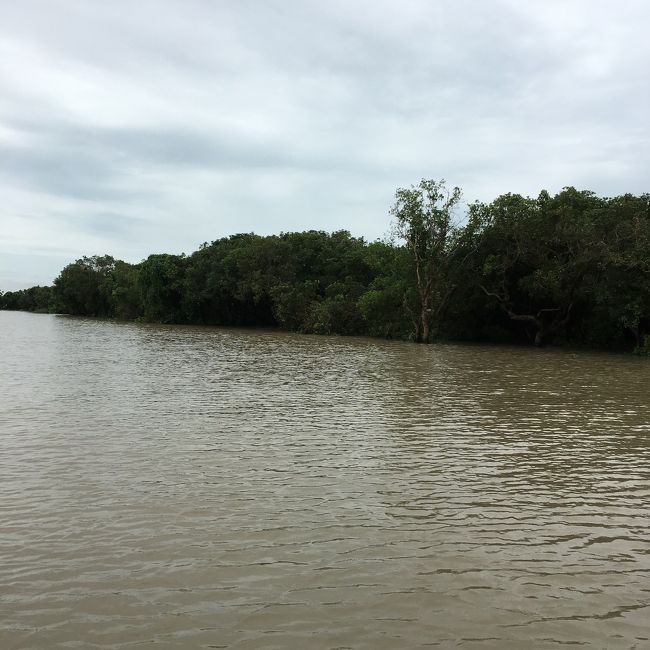 9月にトンレサップ湖クルーズツアーを参加された。マングローブの森ガイドすごいでした。