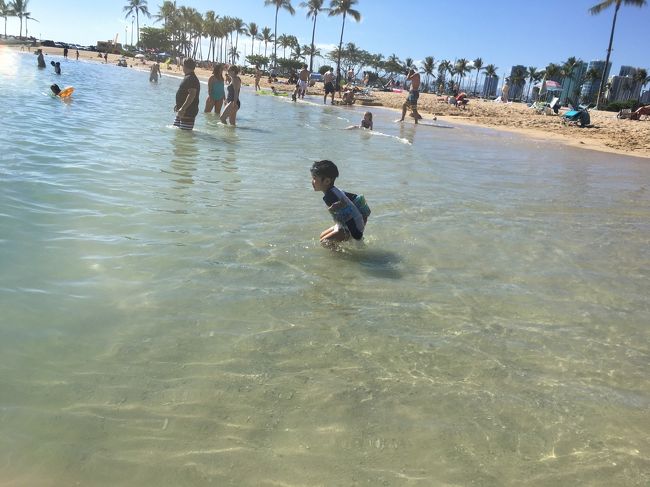 疲れ知らずで遊びまくり。