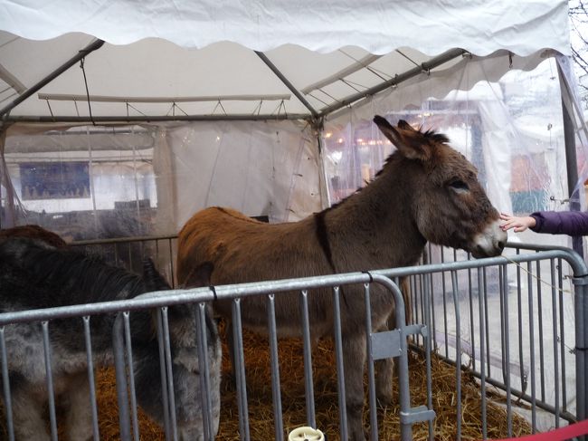 シャンゼりゼにはこんな「見世物小屋？」もありました。<br /><br />ろば？