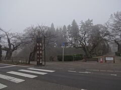 八重の像から道路をわたると、城のお堀です。