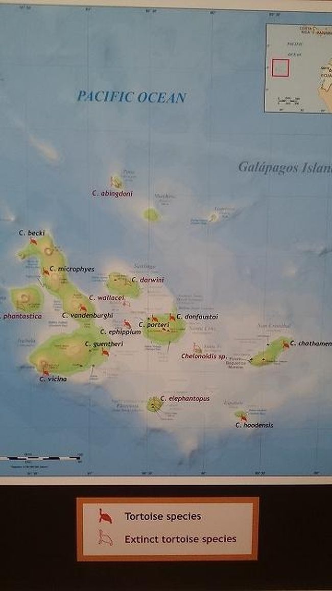 ガラパゴス諸島 エクアドル 17 2 ガラパゴス エクアドル の旅行記 ブログ By Fernandoさん フォートラベル
