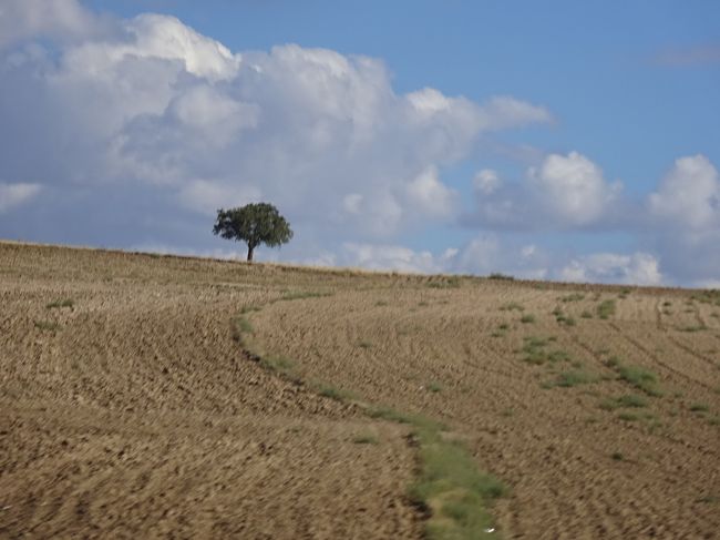 いやー、色々と考えさせられるカッパドキアでした。<br /><br />で、今これを書いてる時に見つけた、ウェンディさんの旅行記、<br /><br />「本当の地下都市は“男の村：Mazi”にあった！/ 真実の隠蔽は国家ぐるみの陰謀か/ 空に浮かび、地の底を彷徨う【ファティマとアイシャの母娘旅-3】<br />http://4travel.jp/travelogue/11013325」<br /><br />に、「どうもカイマルクとか、人住んでなかった事が判明。ジャガイモの貯蔵倉庫だったのではないかとの説が有力視。だけど今更「謎の地下都市」として世界上に<br />アピールしてしまった手前、看板が下ろせない」<br /><br />という書き込みを見つけて衝撃ww