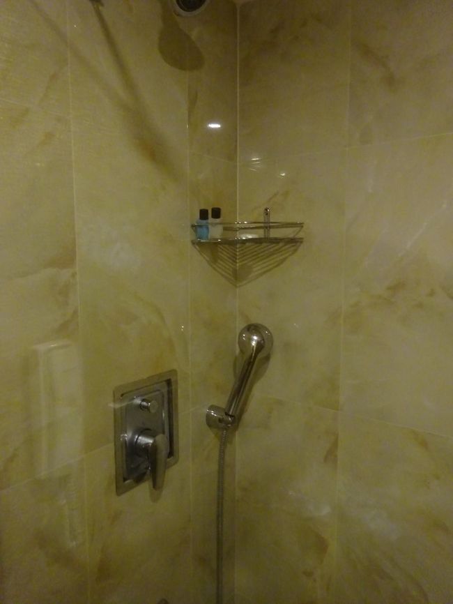 このキングホテル、シャワーブースのみの上、シャワースペース用のドアとか<br /><br />シャワーカーテンが無いので、ちと使いにくかったです。