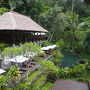 Maya Ubud Resort & Spa ウブド母娘旅
