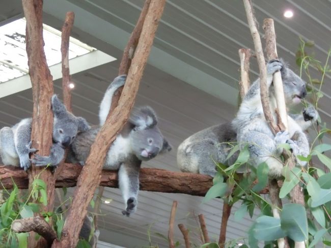 あーずっと見ていられる、この暑ささえなければw<br /><br />暑い。<br />消耗するわー