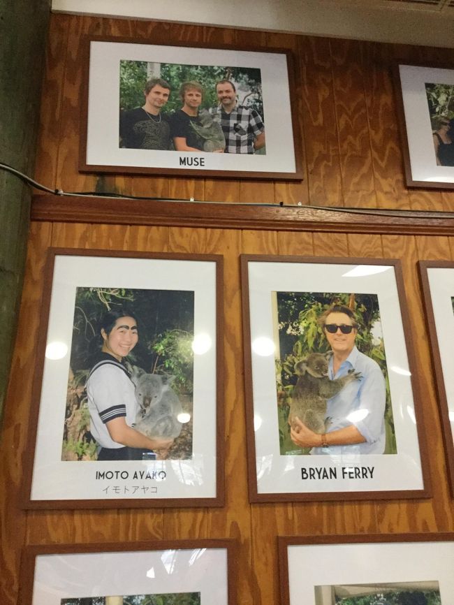 イモトも来てるようです。<br />唯一日本人で飾られていた。<br /><br />去年、ケアンズでコアラ抱っこしてるので、今回は見送り。