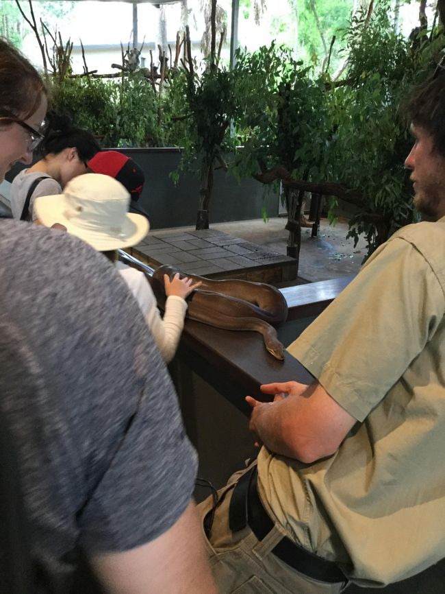 へ、ヘビもいた。