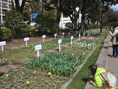 横浜公園

ようやく咲き始めたチューリップを覗き込む子供