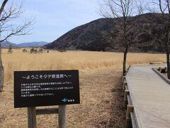 道路の脇に広がる、タデ原湿原。
遊歩道があり、散策できるようになっています。