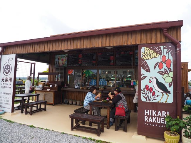 　ホテルへの帰りにはネットで調べておいた HIKARI RAKUEN（光楽園）へ。<br /><br />　ここでランチします。<br /><br /> 自家栽培グァバをメインに、サンドイッチや石垣島産のトロピカルフルーツを使用したジュース、スムージー、フラッペ（かき氷）などのあるお店です。