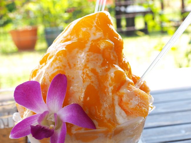 　締めは、もちろんマンゴーかき氷！！！<br /><br />　摂取カロリーオーバーなんて、もう無視ですよー！！！<br /><br />　これを見て無視できる人は果たしてこの世に存在するのでしょうか？<br /><br />　いるわけがない！！！