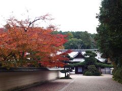 こちらは円照寺。非公開なので、門を少し入ったところまで。
手入れがされててきれいだなー。

さっきまで薄暗い細い道をあるいていたのせいか、お寺の景色に癒される・・・
