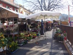 朝市。ここはお花屋さんが多いのが特徴でしょうか。