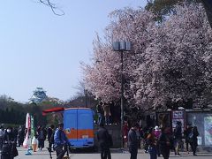 大阪城公園

環状線から桜の花が咲いているのが見えたので、私だけ森之宮で降りた。　

